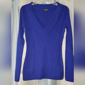 Blue Fitted Express Sweater